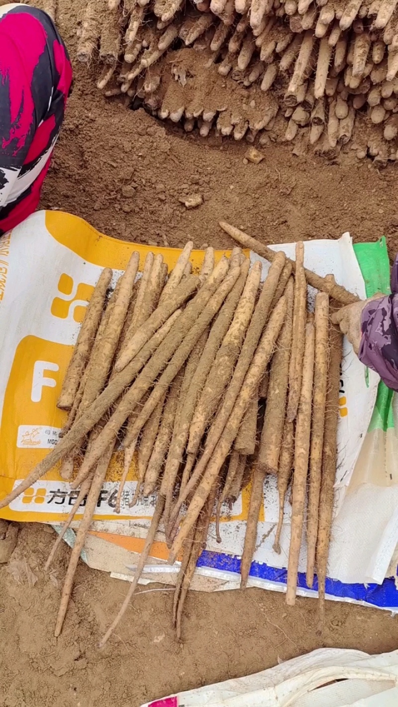 山药铁棍山药规格齐全精挑细选好货对接全国量大从优