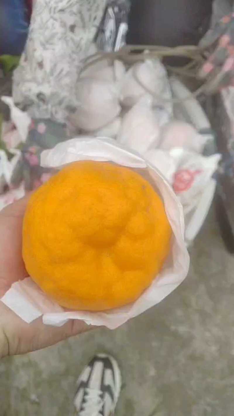 耙耙柑（春见柑桔）大量现货供应，可视频看货发全国