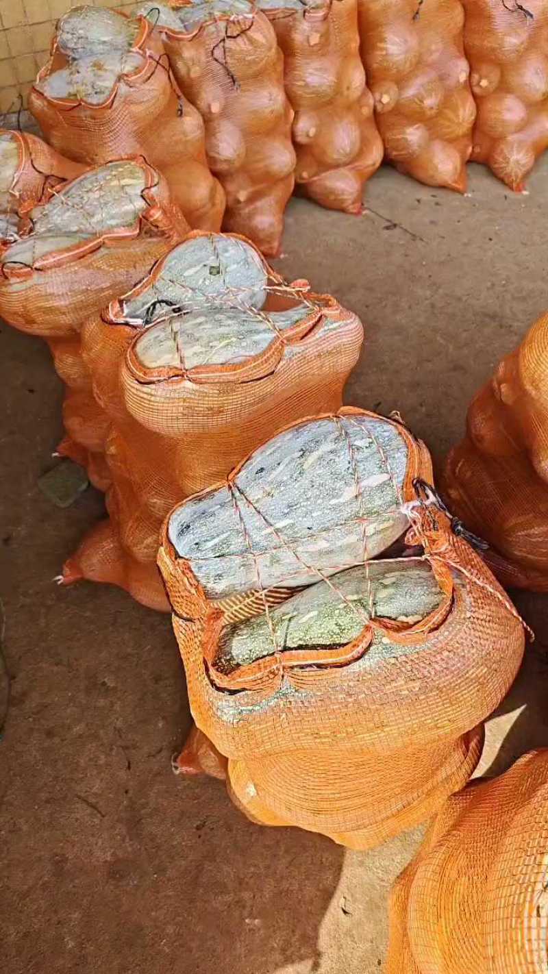 广东密本南瓜，软糯香甜，一手货源，大量供应，全国发货