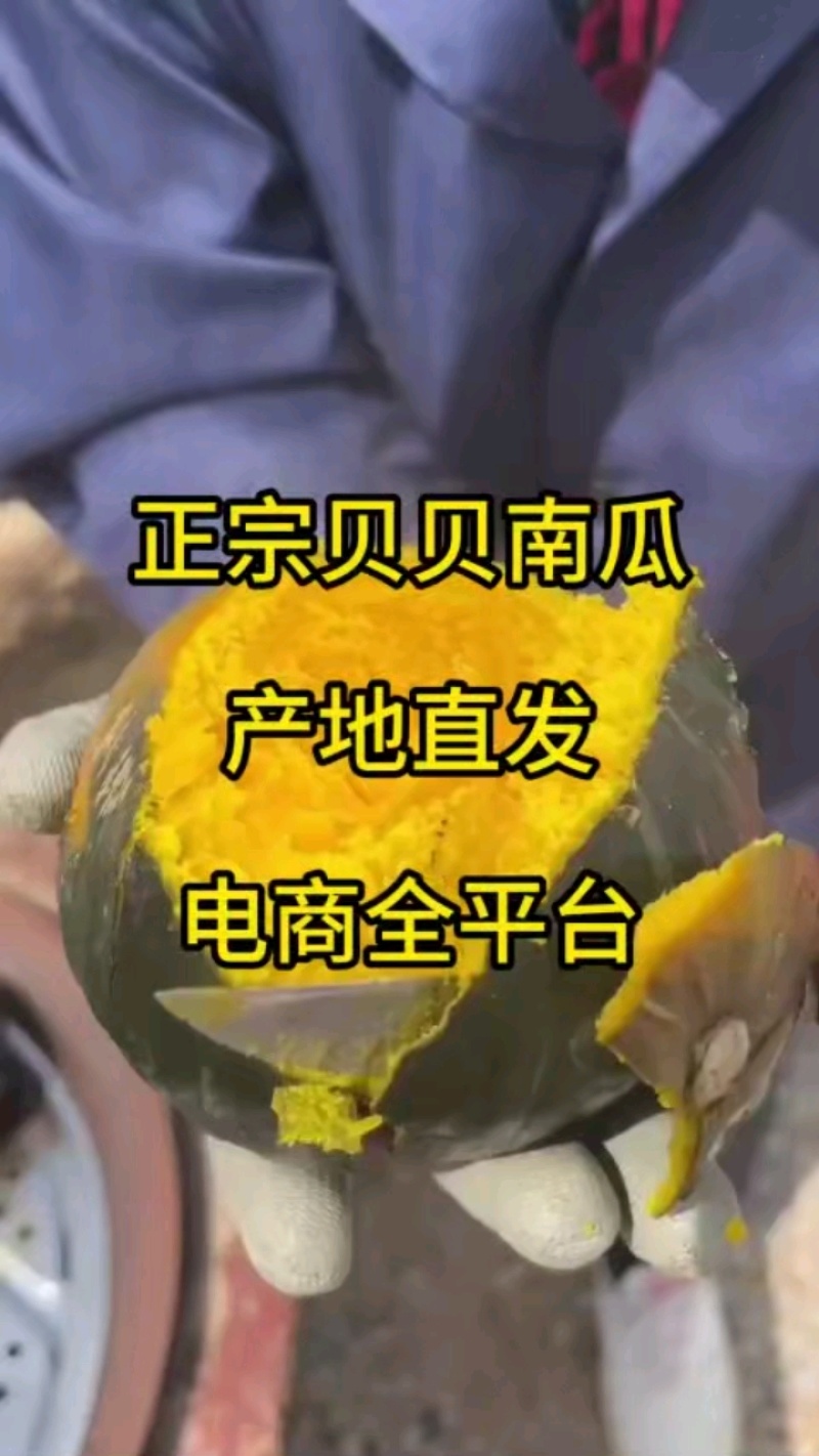 粉糯香甜的贝贝南瓜，板栗味浓，入口即化