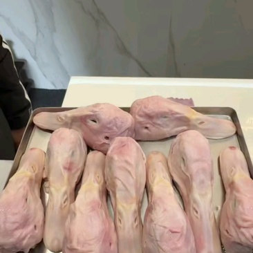 鸭头