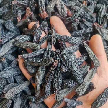 【热卖】蓝宝石葡萄干，大颗粒蓝宝石葡萄干无核葡萄干