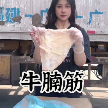 牛腩筋20多一斤，油净色亮，全国发货！