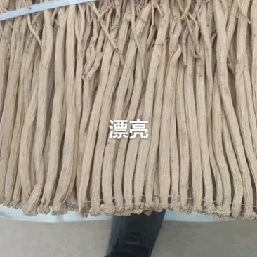 ***199元，现货抢购中！