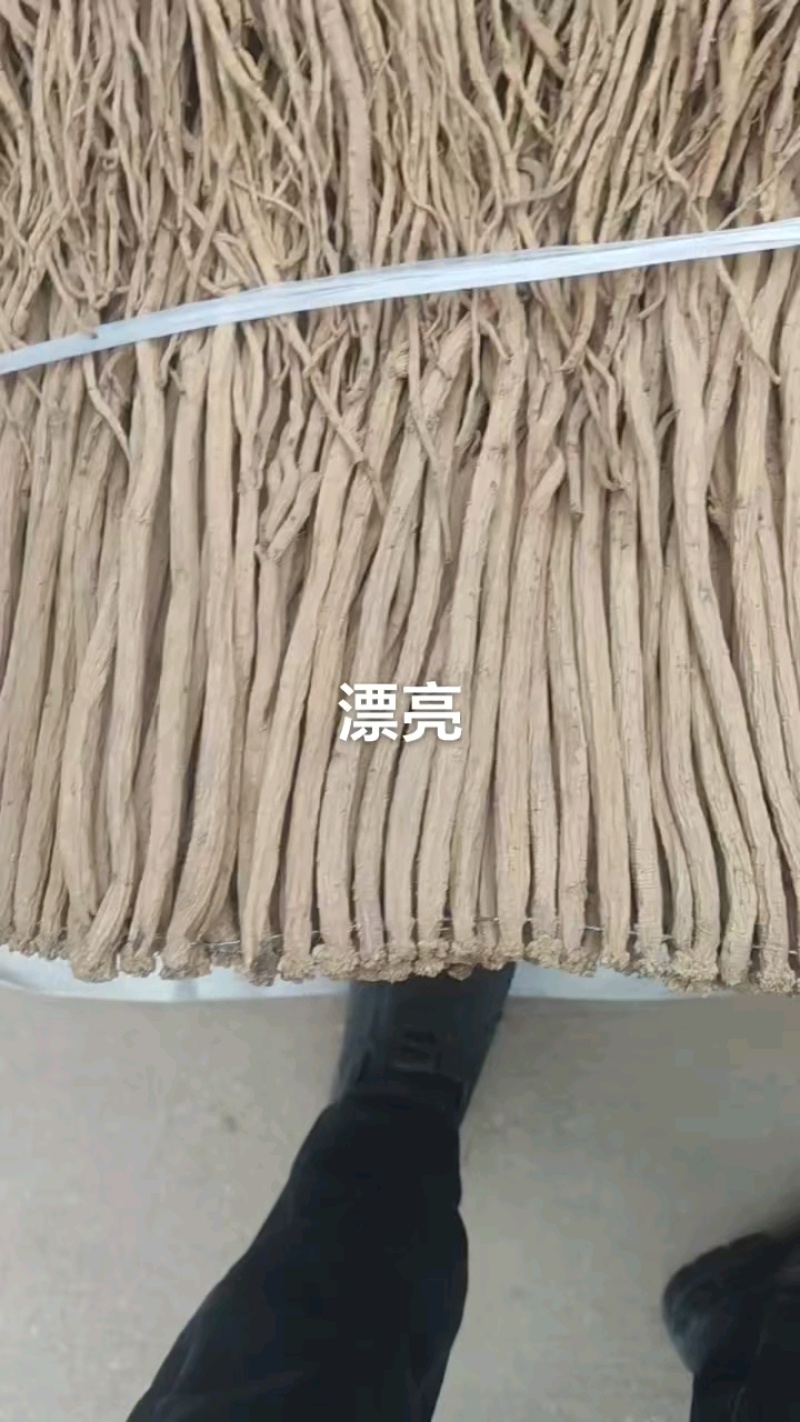 ***199元，现货抢购中！
