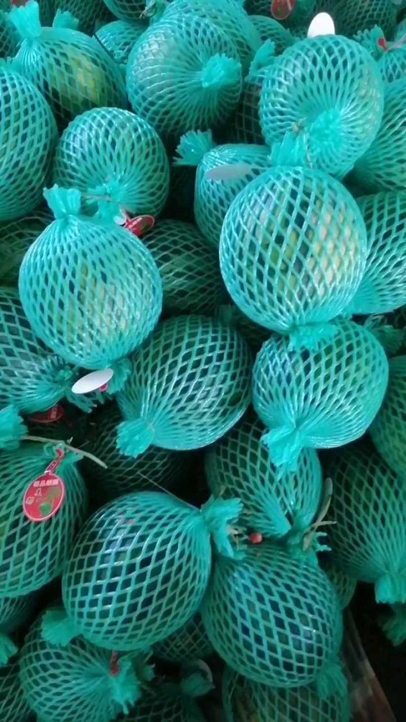 云南美都西瓜