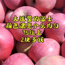 辽宁绥中富士苹果，全国发货，保质保量，价格便宜，欢迎选购