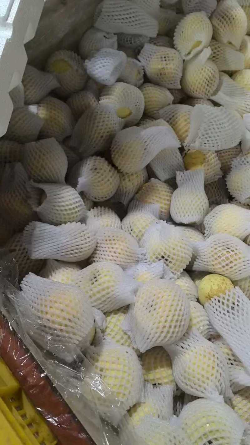 奶油富士苹果价格优惠，一件代发，社区团购。