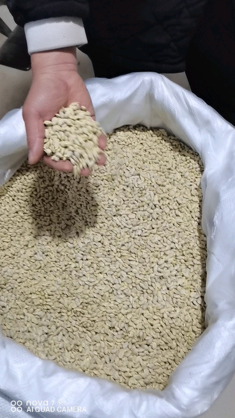 橘核中药材批发橘核天然晾产地直销质量保证量大从优