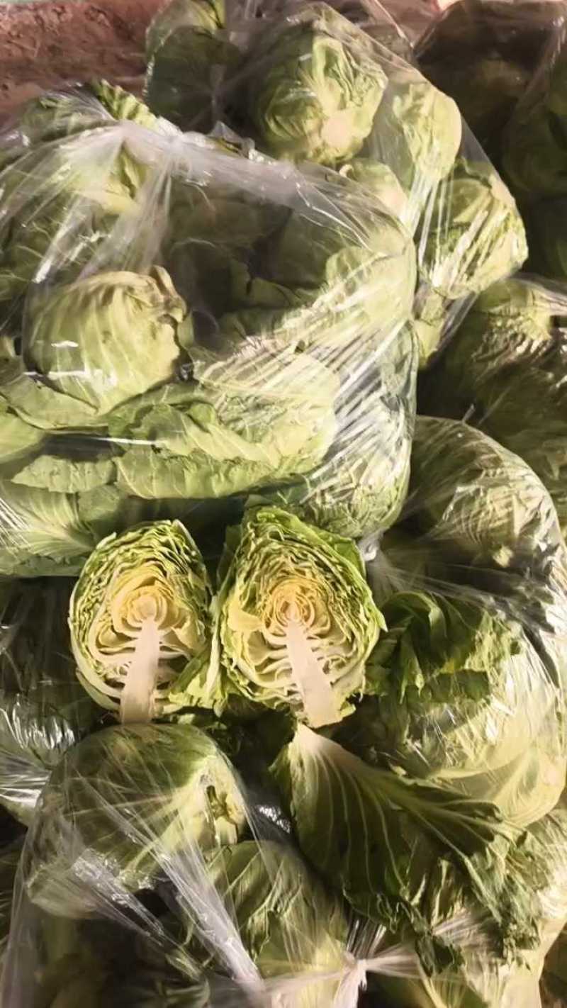 产地鲜甘蓝大量供货，产地直销可长期发货。