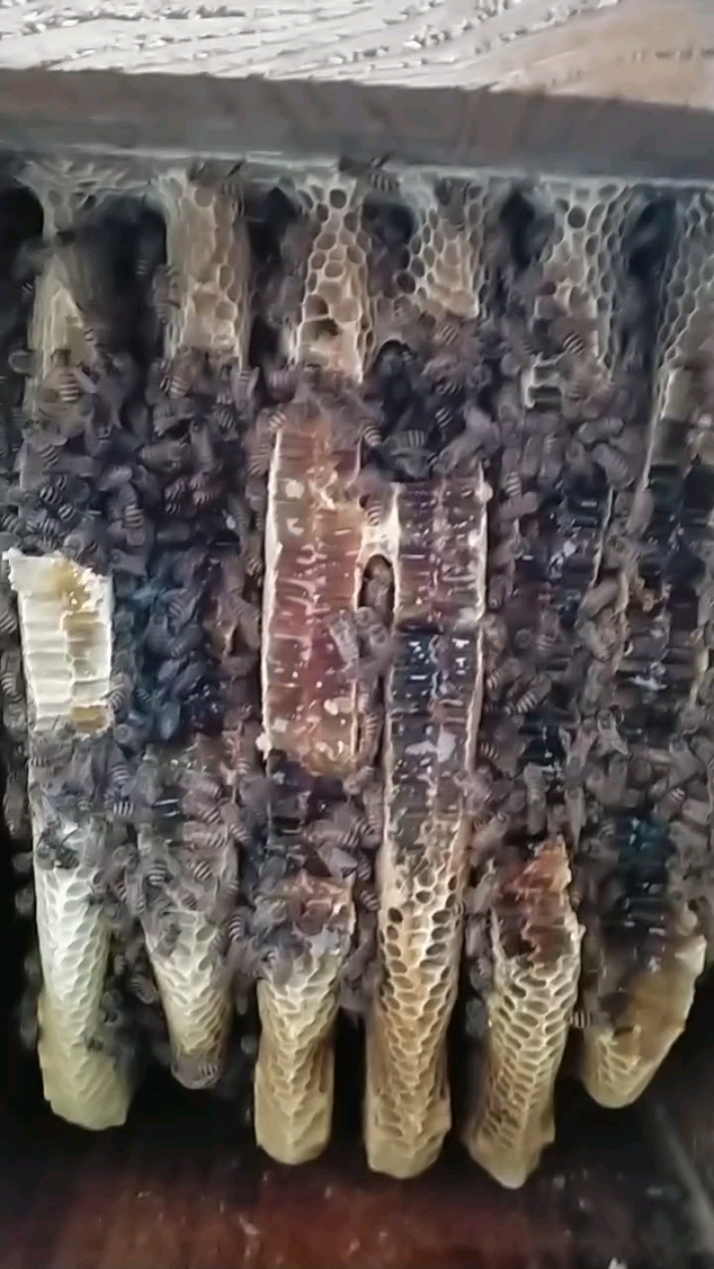 蜂蜜