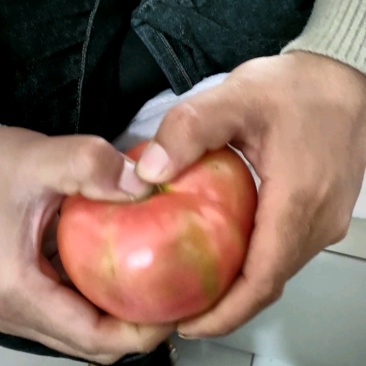 沭阳大尖西红柿