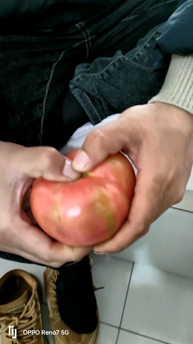沭阳大尖西红柿
