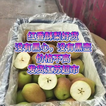 红香酥，酥梨，产地直达，质量有保证，货源量大，诚信第一位
