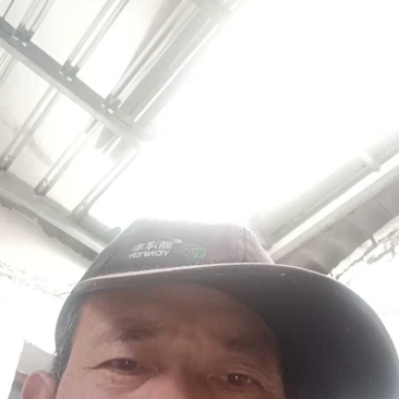 《精选》青皮甘蔗/10根60斤左右/一手货源/全国发货