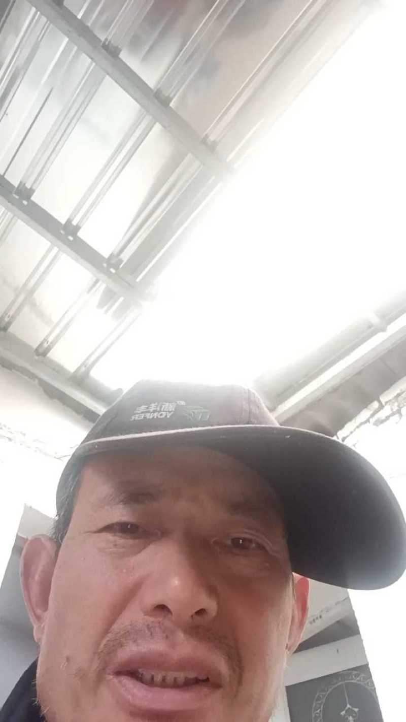 《精选》青皮甘蔗/10根60斤左右/一手货源/全国发货