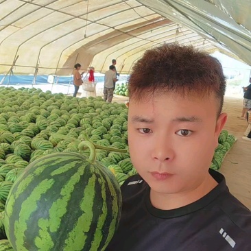 云南美都西瓜，对接全国各大批发市场，电商，社区团购，