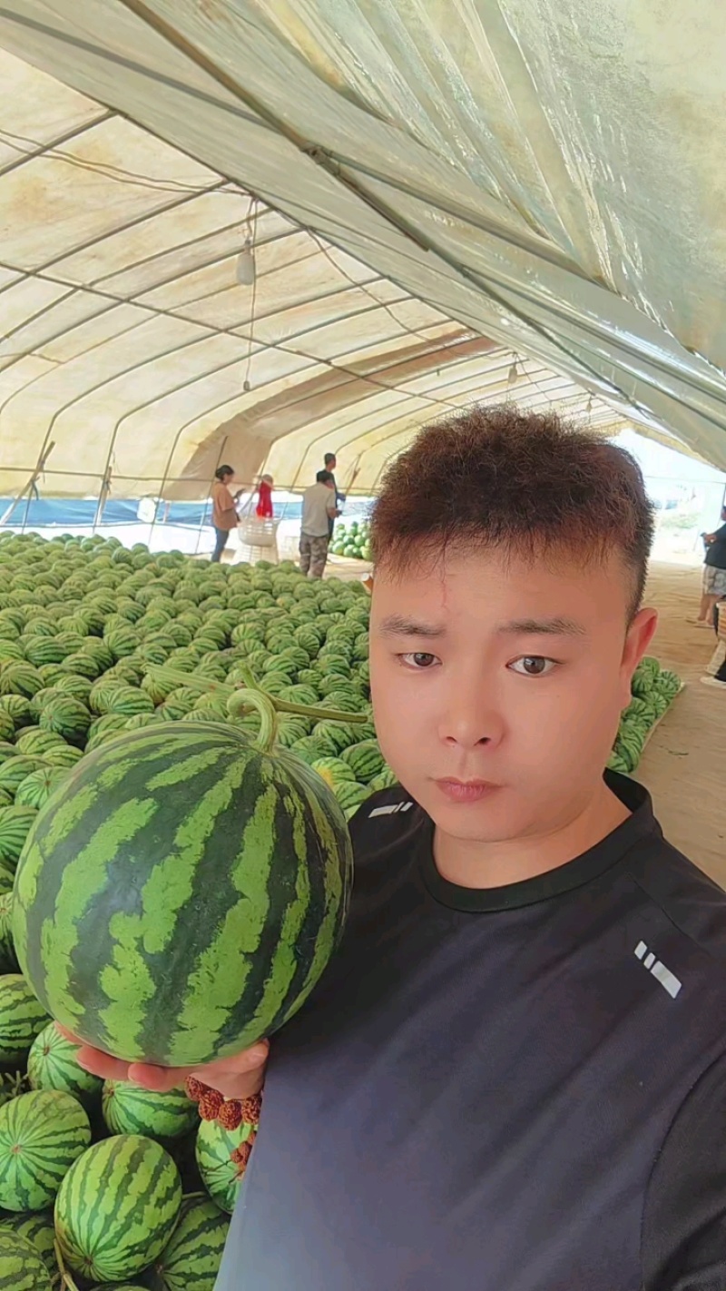 云南美都西瓜，对接全国各大批发市场，电商，社区团购，