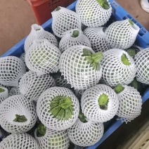 精品南瓜小南瓜大量上市，各大商超市场可对接，欢迎订购