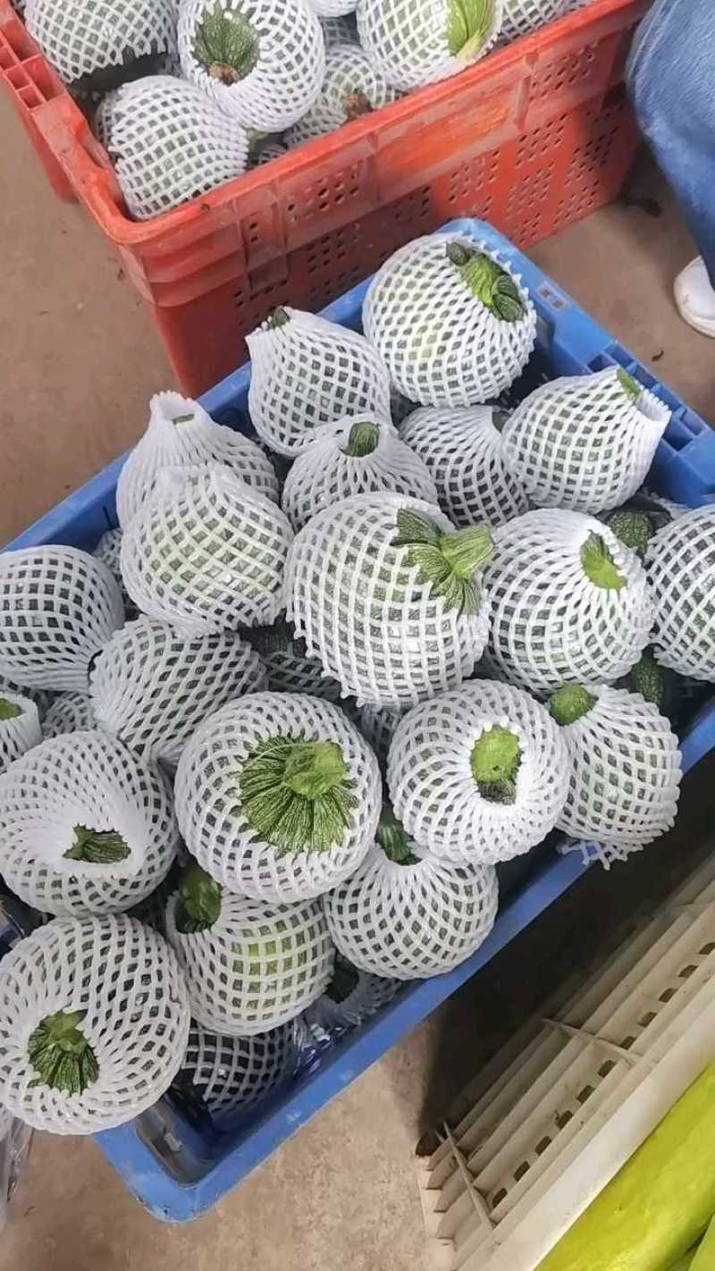 精品南瓜小南瓜大量上市，各大商超市场可对接，欢迎订购