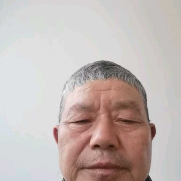 青葙子品质保障全国通发产地直销一手货源