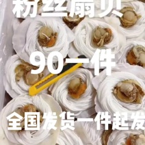 粉丝扇贝9-10规格，单片几毛，适合烧烤餐饮