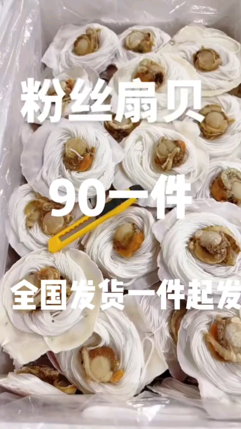 粉丝扇贝9-10规格，单片几毛，适合烧烤餐饮