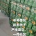 铁皮西红柿对接各大商超全国代发电联详谈