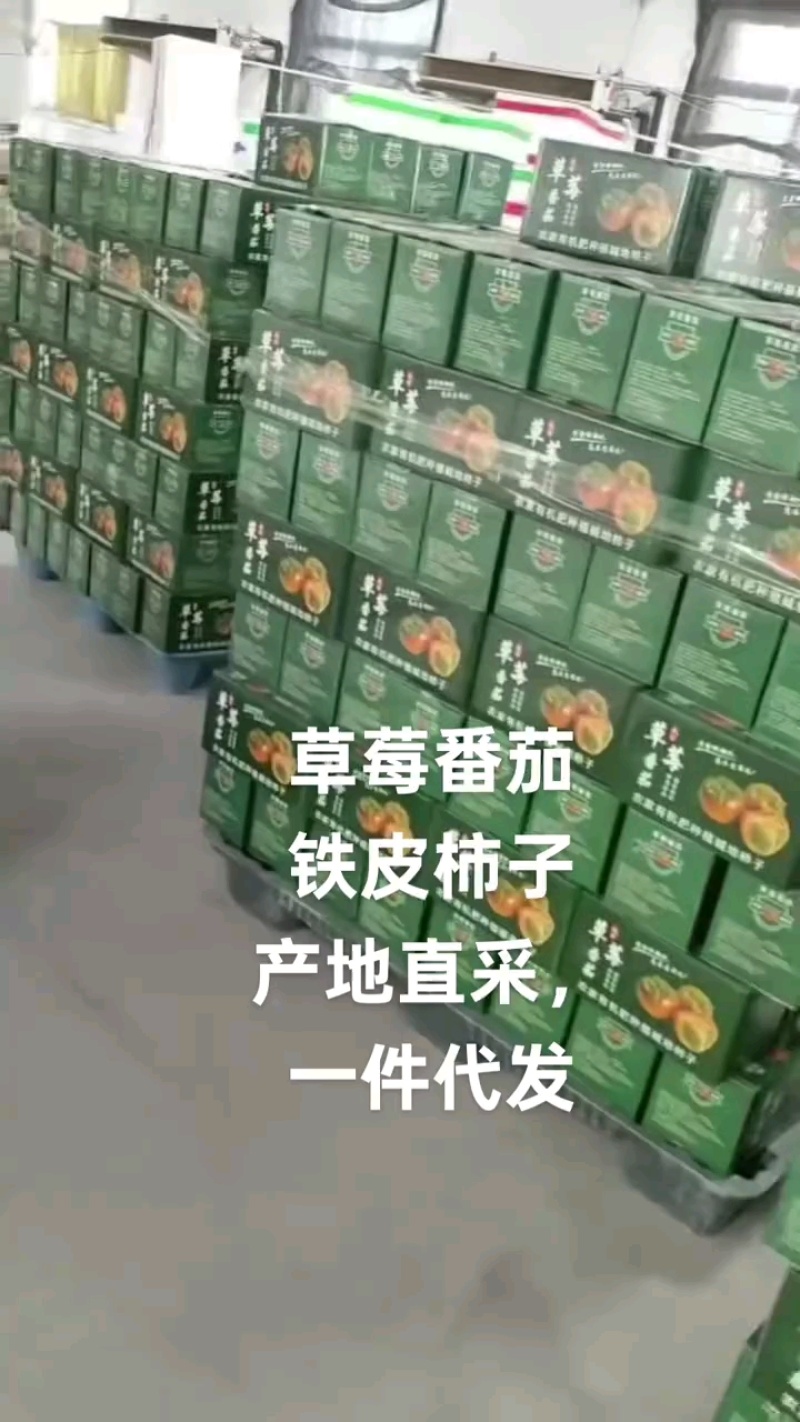 铁皮西红柿对接各大商超全国代发电联详谈