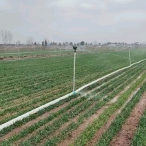 雨中灌溉新货水带上市地插