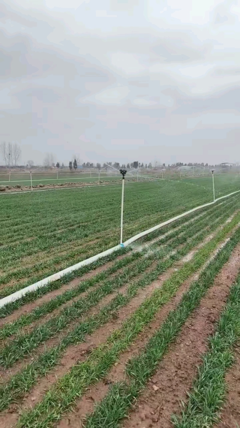 雨中灌溉新货水带上市地插