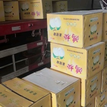梨\皇冠梨\河北石家庄赵县皇冠梨\产地直发对接全国采购商