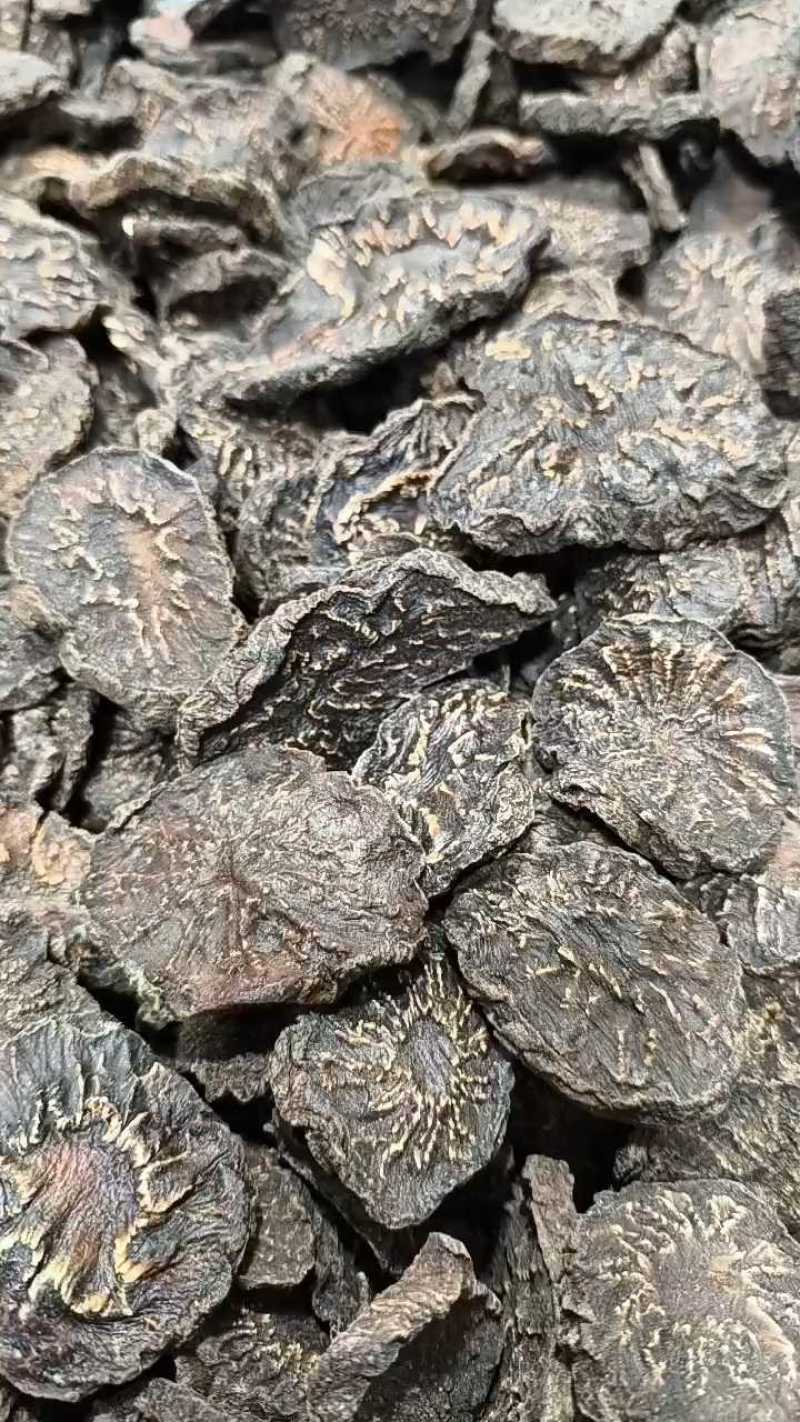 新疆软质肉苁蓉片大芸大货批发一件代发
