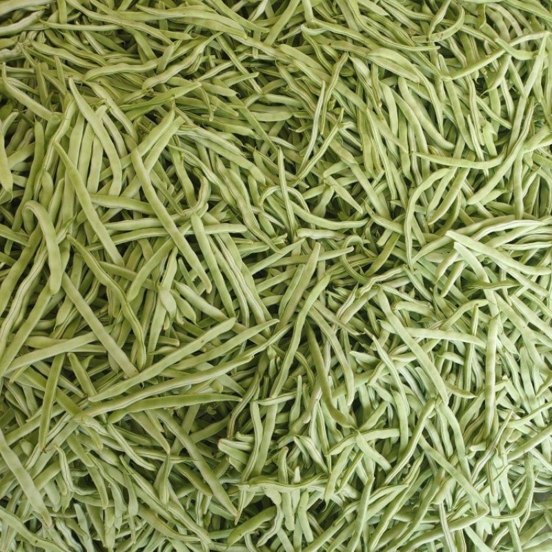 白不老芸豆产地直销量大质优价格优惠欢迎咨询采购