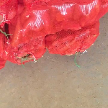 西瓜红红薯大量有货产地直发质量保障价格实惠
