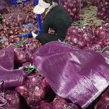 通许洋葱货源充足，价格便宜，可长期供货