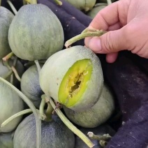 【绿宝甜瓜】绿宝石甜瓜产地直销量大质优价格优惠