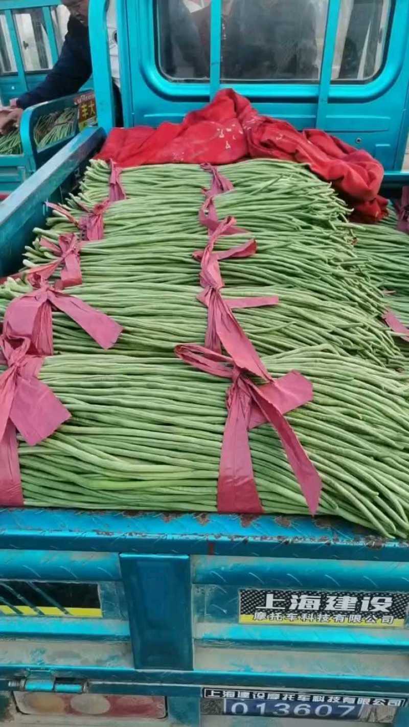 豆角大量有货，价格便宜不限量！