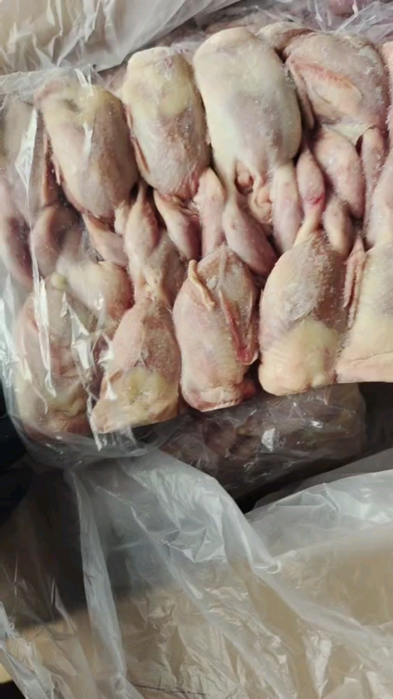 特大号鹌鹑到货，一箱一百只，干净均匀！
