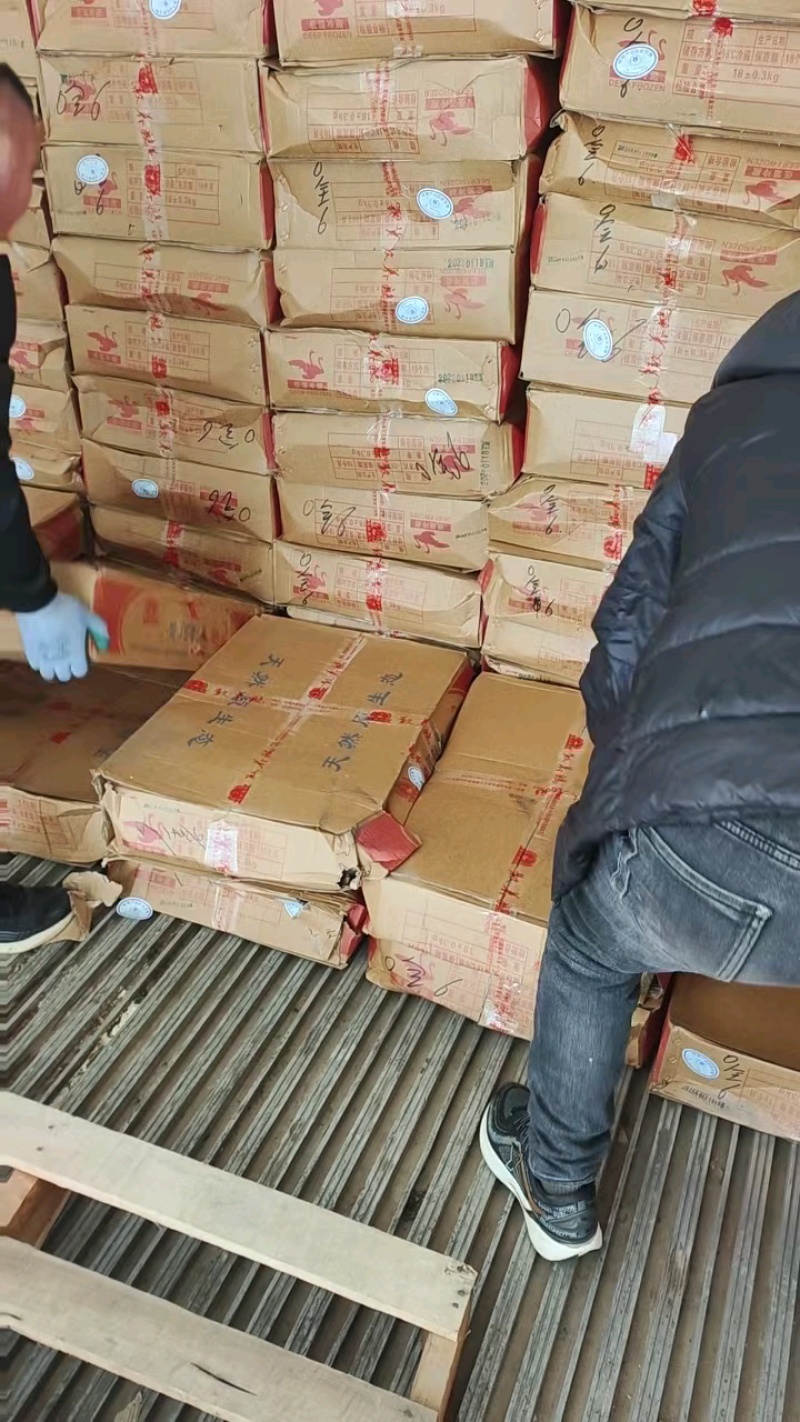 黄河大鹅到货，6只装，货量充足。