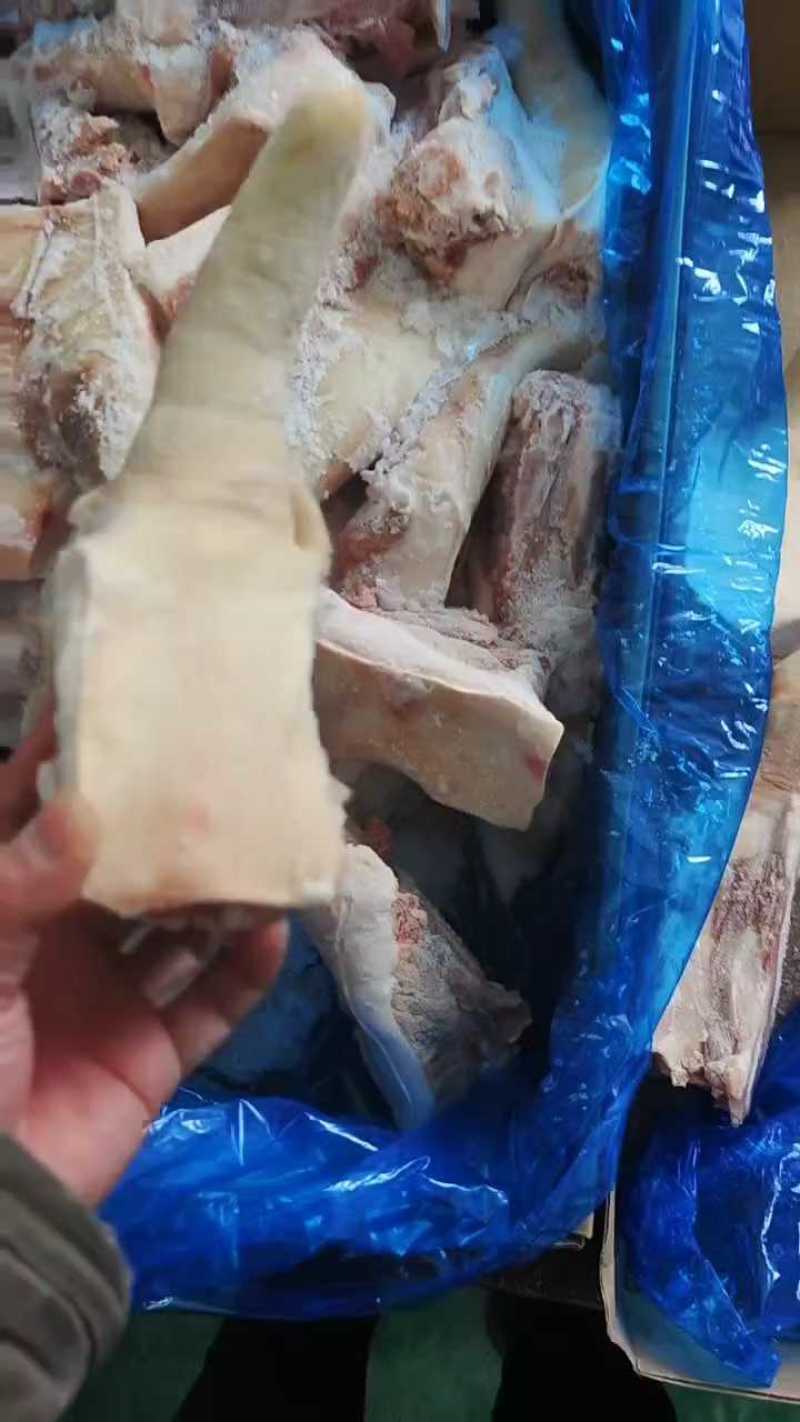 带根猪尾3237，**长很瘦