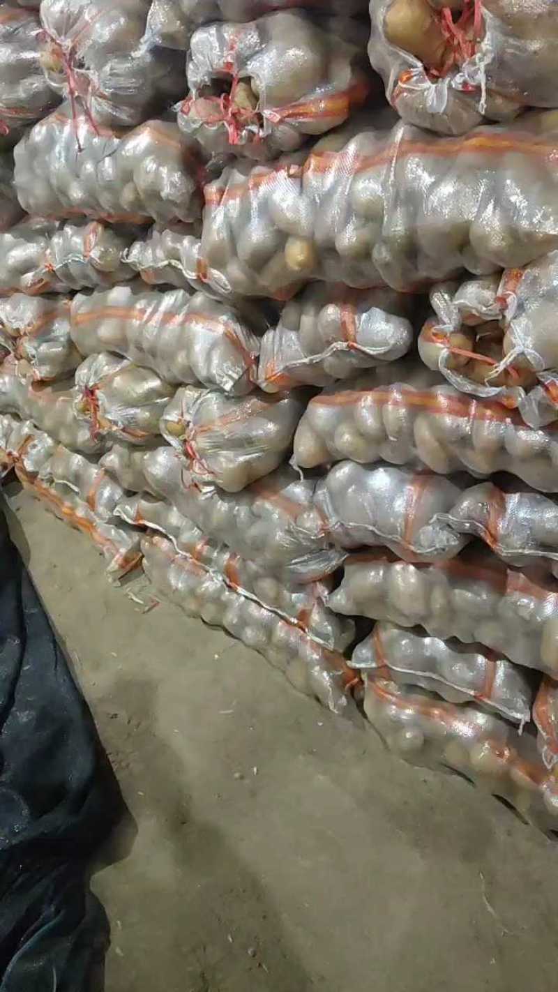 武川红皮土豆质量保证3两至一斤，个头色泽好欢迎咨询
