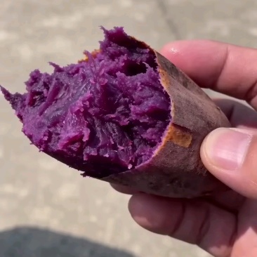 精品紫罗兰纯丘陵沙土地，口感香甜软糯，适合电，产地直销，