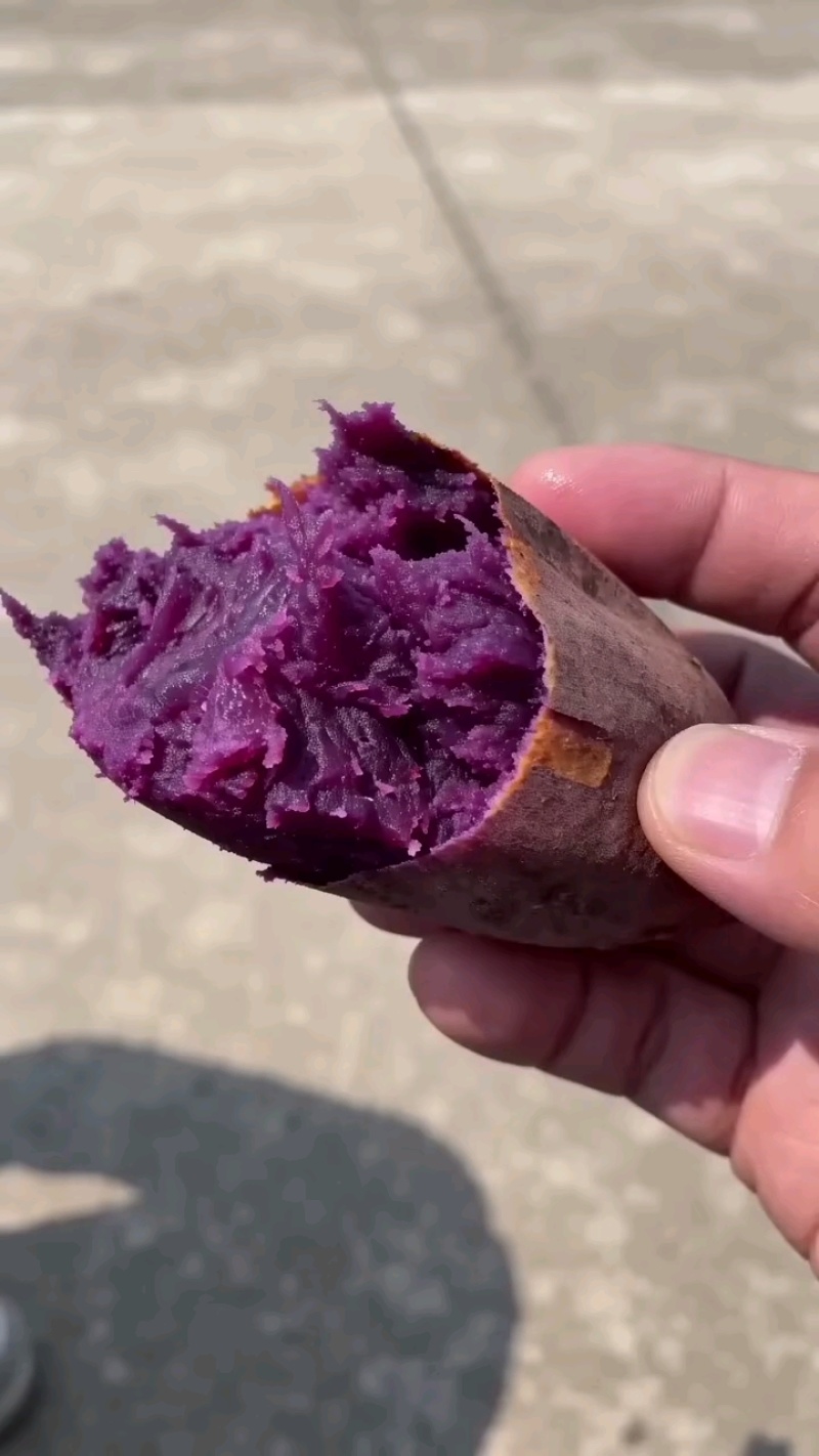 精品紫罗兰纯丘陵沙土地，口感香甜软糯，适合电，产地直销，