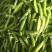 湖北露天新鲜豌豆角大量上市