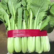 小白菜品质优良，色泽鲜亮，根叶俱佳。