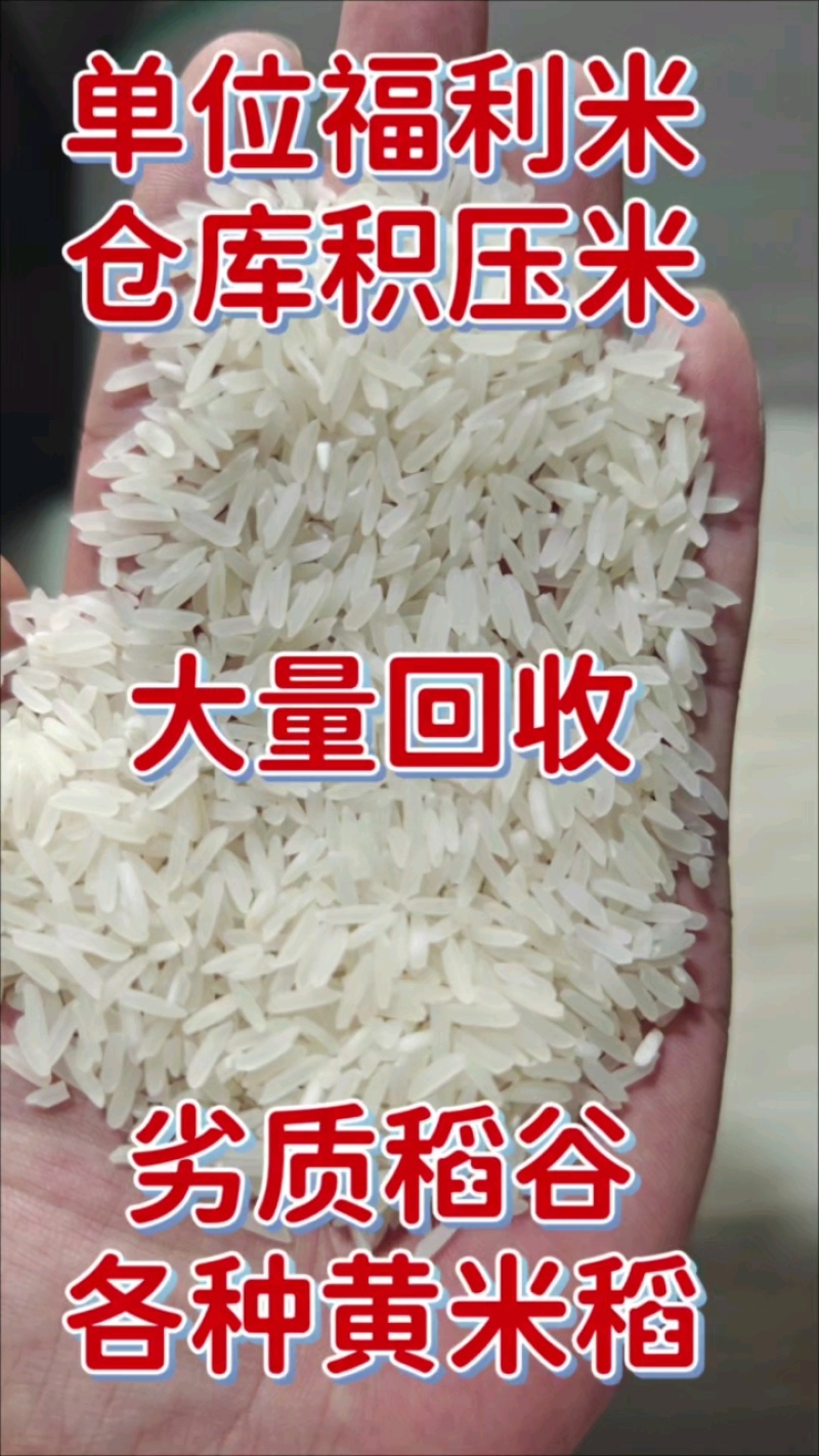 大量回收临期大米，装车秒付，各地可收