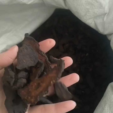（热销）生地黄生地产地河南祥泰药材栈地道药材欢迎购买中
