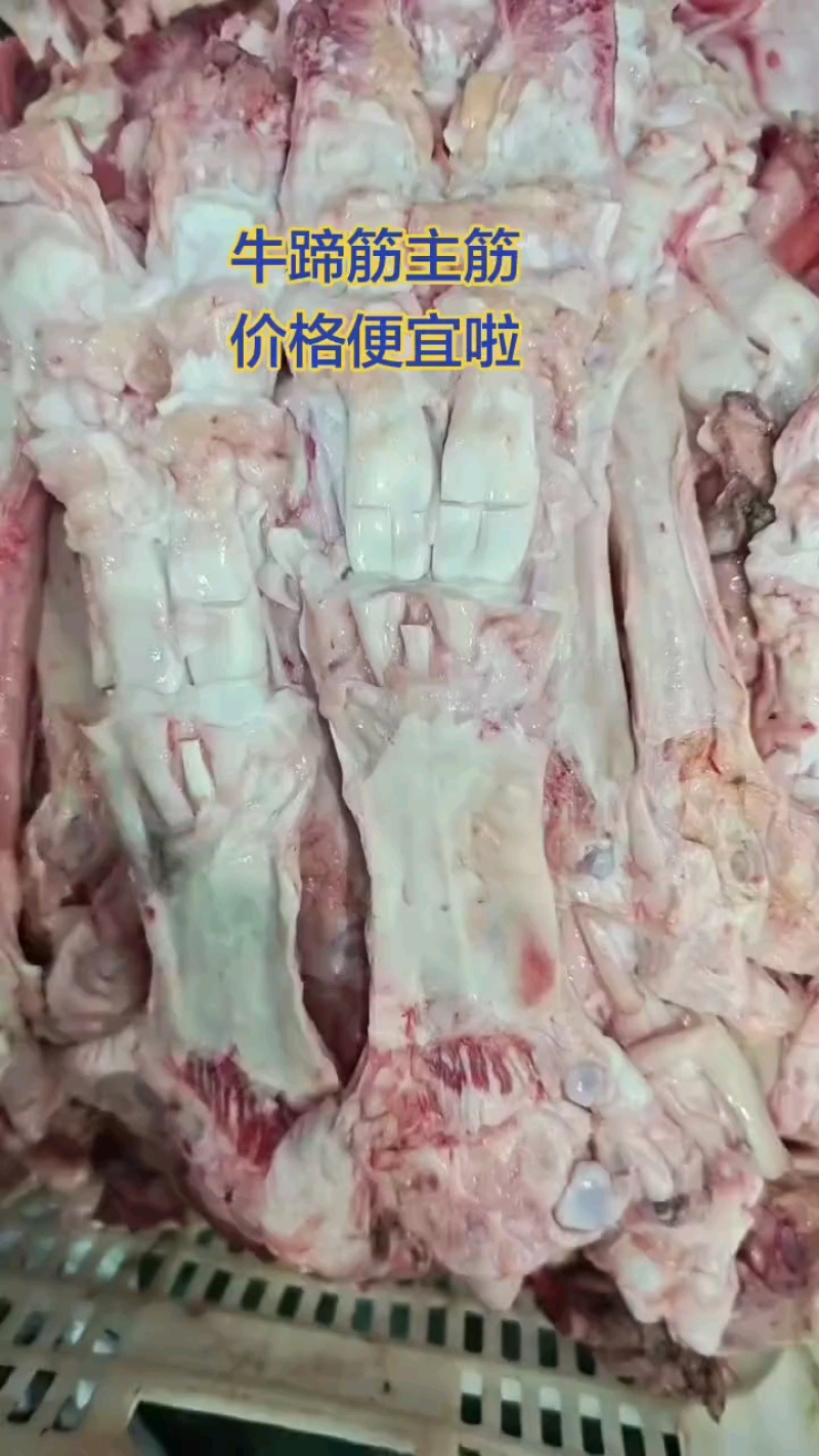 大个牛蹄筋干货，批发价20多