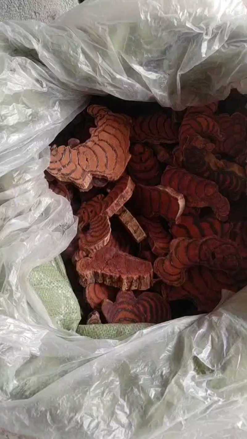 鸡血藤厚片靓货基地直供大量有货可电话咨询